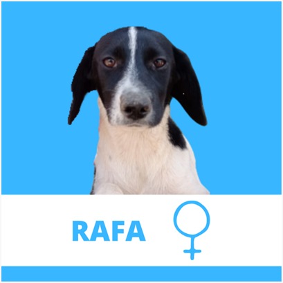 Foto do Rafa